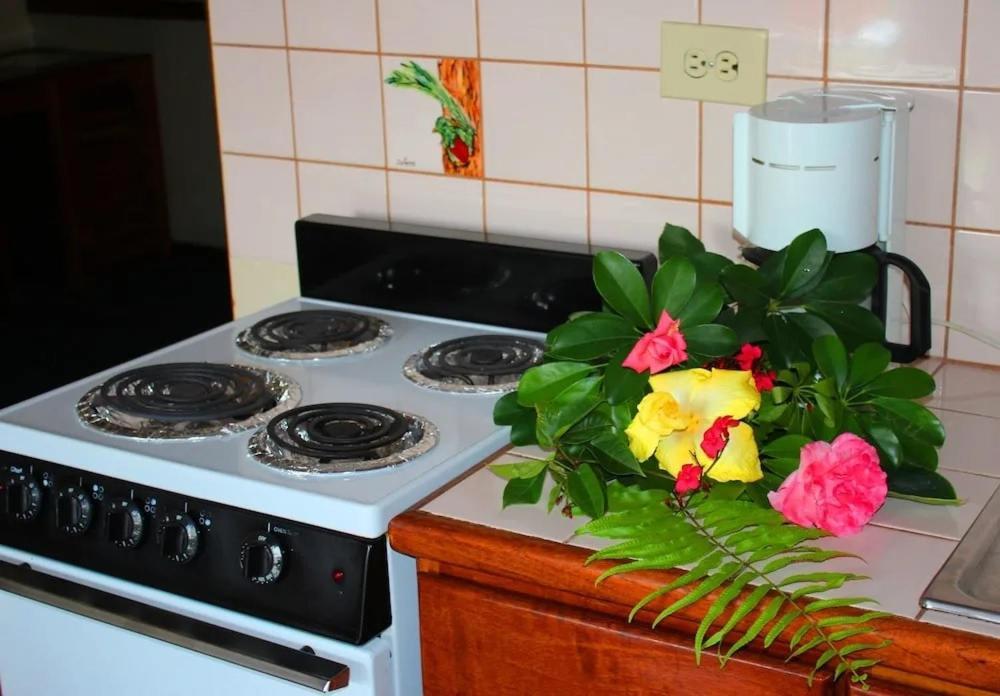 Hotel Ecological Inn San José Dış mekan fotoğraf