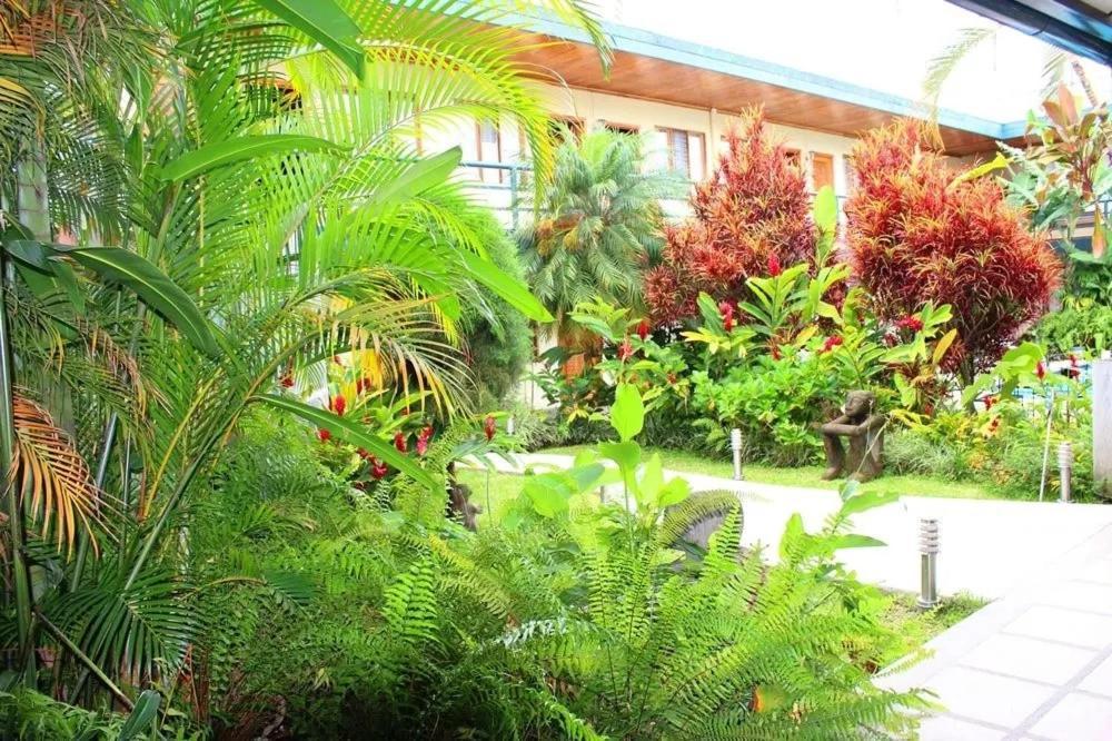 Hotel Ecological Inn San José Dış mekan fotoğraf