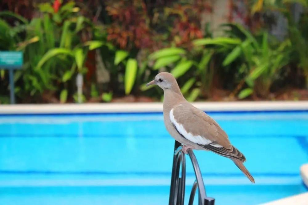 Hotel Ecological Inn San José Dış mekan fotoğraf