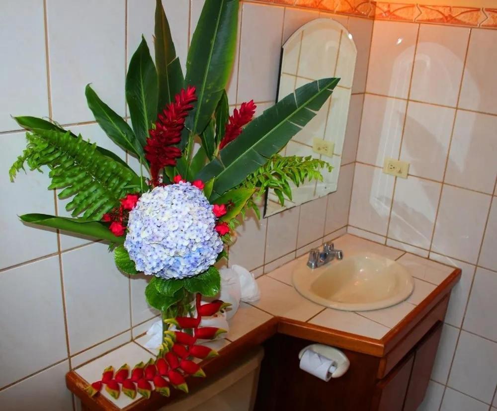 Hotel Ecological Inn San José Dış mekan fotoğraf