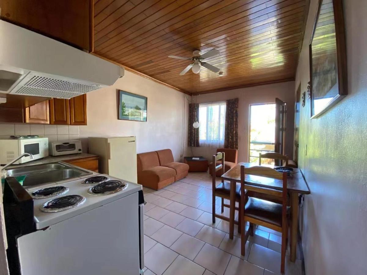 Hotel Ecological Inn San José Dış mekan fotoğraf