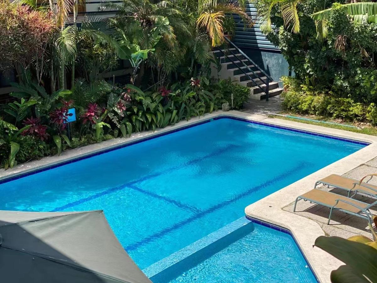 Hotel Ecological Inn San José Dış mekan fotoğraf