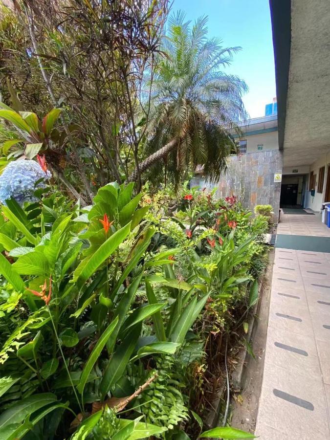 Hotel Ecological Inn San José Dış mekan fotoğraf